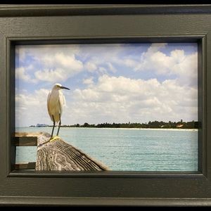 Calm & observe (photography)